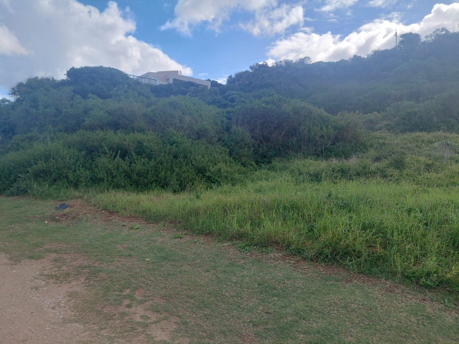 Commercial Property for Sale in Bothastrand Western Cape
